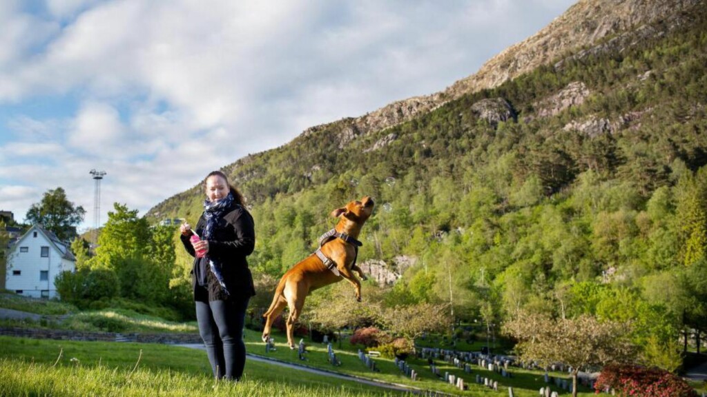 DÅRLIG RÅD: Ann-Laila Lintunen (43) har ikke råd til de store utskeielsene. Hun er ikke fornøyd med lønnsutviklingen for egen yrkesgruppe. Her er hun på tur med hunden Casper, en Staffordshire Bull Terrier som er gal etter såpebobler. Foto: Eivind Senneset DÅRLIG RÅD: Ann-Laila Lintunen (43) har ikke råd til de store utskeielsene. Hun er ikke fornøyd med lønnsutviklingen for egen yrkesgruppe. Her er hun på tur med hunden Casper, en Staffordshire Bull Terrier som er gal etter såpebobler. Foto: Eivind Senneset