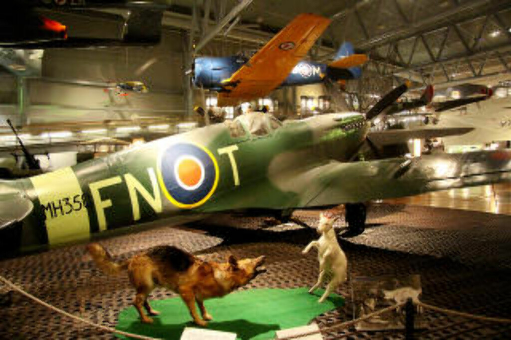 SPITFIRE: Hunden Varg var maskot til 331-skvadronen og geita Mads var 332-skvadronens maskot på North Weald. Foto: KIRSTEN MARGRETHE BUZZI SPITFIRE: Hunden Varg var maskot til 331-skvadronen og geita Mads var 332-skvadronens maskot på North Weald. Foto: KIRSTEN MARGRETHE BUZZI