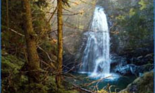 Eksempel på boreal regnskog. Eksempel på boreal regnskog.
