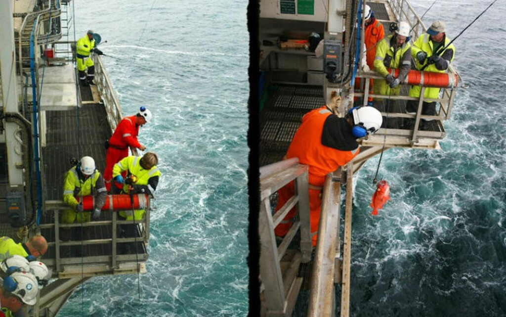 350 METERS DYP: Rekordfisken ble dratt fra 350 meters dyp. I tillegg kommer ferden gjennom lufta, som utgjør 35 meter. Foto: PRIVAT 350 METERS DYP: Rekordfisken ble dratt fra 350 meters dyp. I tillegg kommer ferden gjennom lufta, som utgjør 35 meter. Foto: PRIVAT