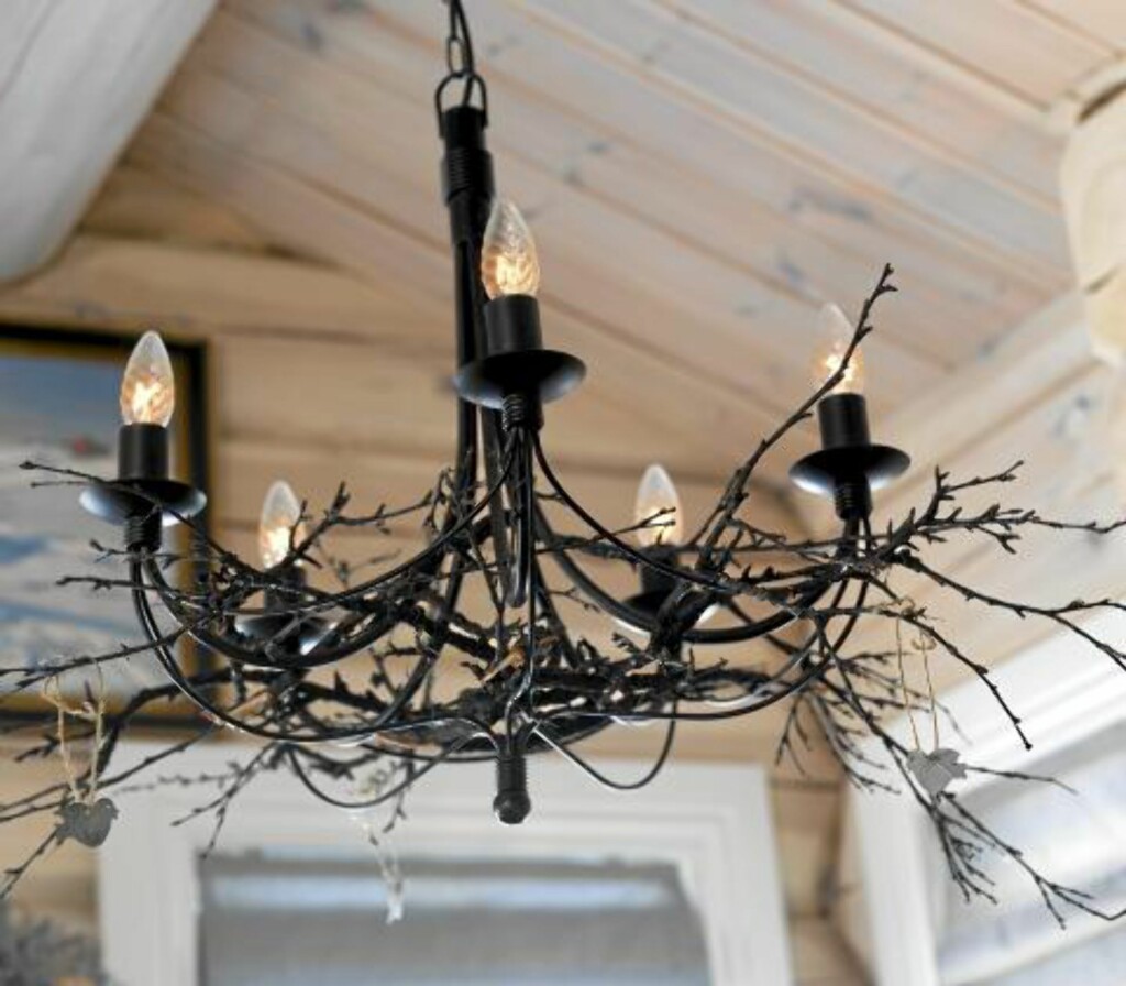 KVISTLAMPE: Naturelementer i interiøret er populært og dekorativt Foto: Per Erik Jæger KVISTLAMPE: Naturelementer i interiøret er populært og dekorativt Foto: Per Erik Jæger