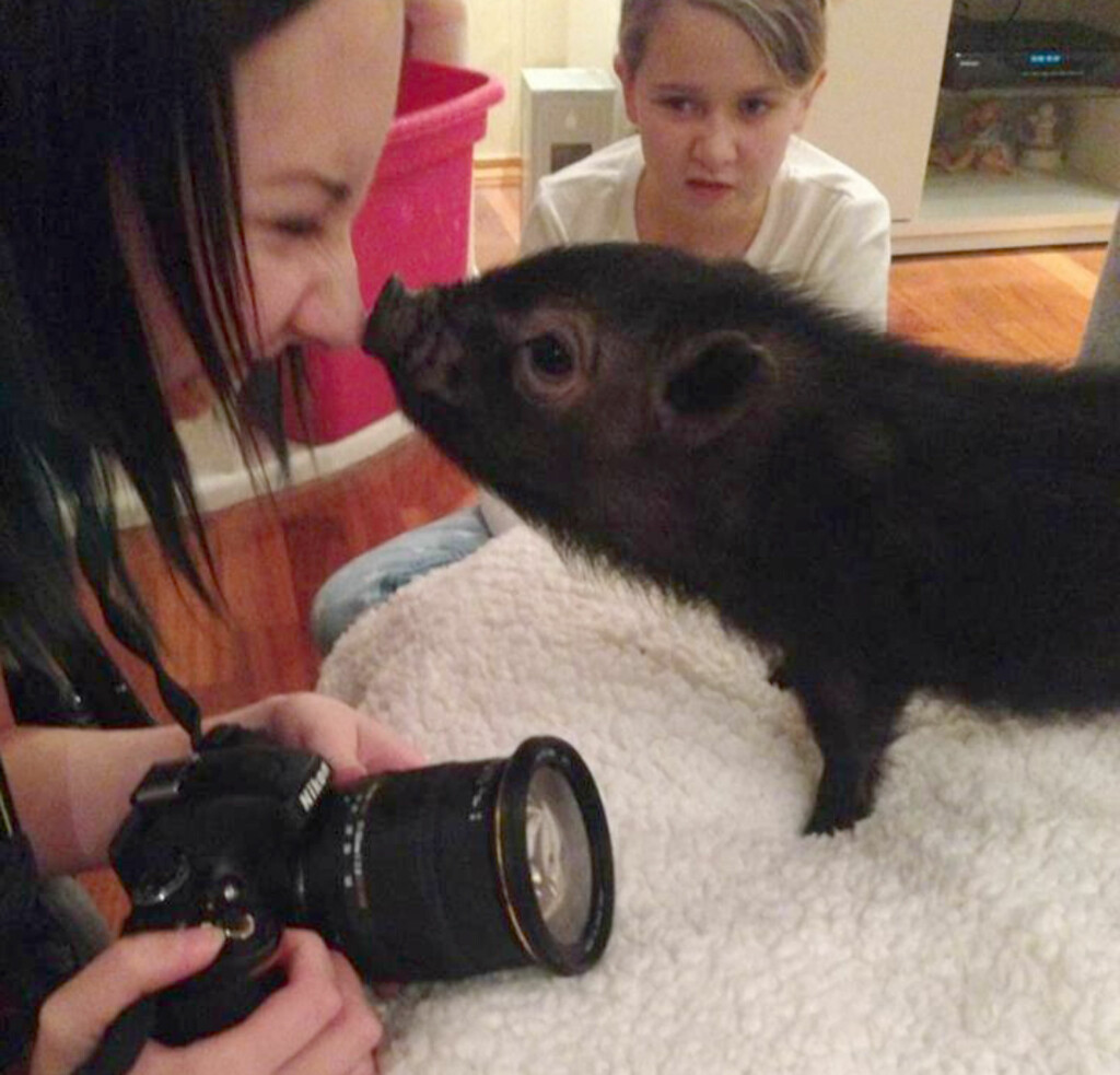 SNART RUSS: Camilla elsker å fotografere. Hun går på linje for medie- og kommunikasjon og gleder seg til å bli russ til våren. Foto: PRIVAT/SE OG HØR SNART RUSS: Camilla elsker å fotografere. Hun går på linje for medie- og kommunikasjon og gleder seg til å bli russ til våren. Foto: PRIVAT/SE OG HØR