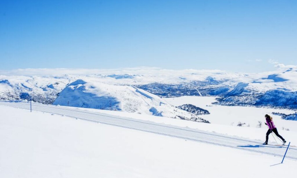 PARADIS: Hva sier du til et løypenett på 170 kilometer? FOTO: Øystein Kvanneid PARADIS: Hva sier du til et løypenett på 170 kilometer? FOTO: Øystein Kvanneid