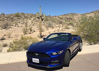 MYE NATUR: Kjører du Route 66 opplever du det meste av hva USA har å by på av natur, som her i ørkenen rundt Albuquerque i New Mexico. Foto: Tormod Brenna MYE NATUR: Kjører du Route 66 opplever du det meste av hva USA har å by på av natur, som her i ørkenen rundt Albuquerque i New Mexico. Foto: Tormod Brenna