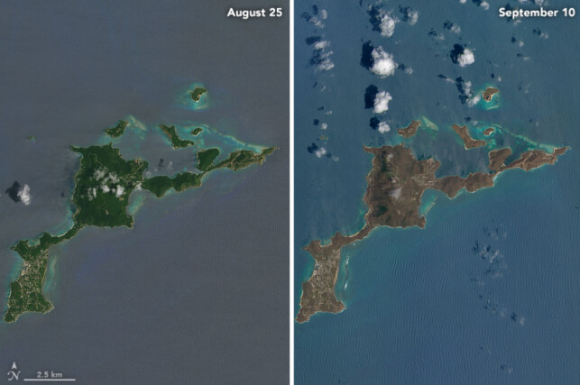 TOTALENDRET: Den karibiske øya Virgin Gorda har gått fra å være grønn til brun på satellittbildene. Foto: NASA Earth Observatory TOTALENDRET: Den karibiske øya Virgin Gorda har gått fra å være grønn til brun på satellittbildene. Foto: NASA Earth Observatory