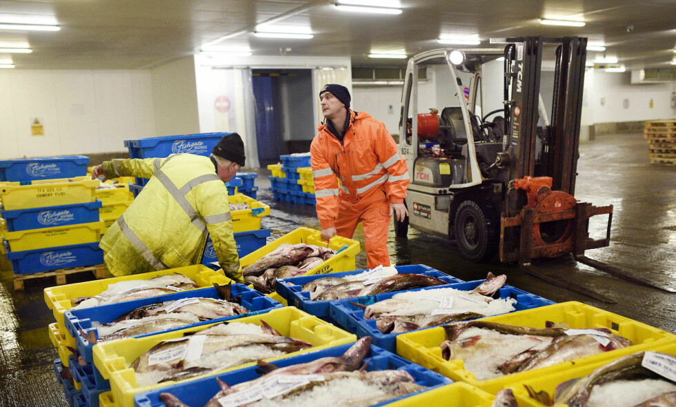 STORFISKE: Grimbsby har vært en av Europas største fiskehavner, men har lidd de siste åra. Nå håper beboerne EU-exit kan gjøre industrien stor igjen. Foto: NTB Scanpix STORFISKE: Grimbsby har vært en av Europas største fiskehavner, men har lidd de siste åra. Nå håper beboerne EU-exit kan gjøre industrien stor igjen. Foto: NTB Scanpix