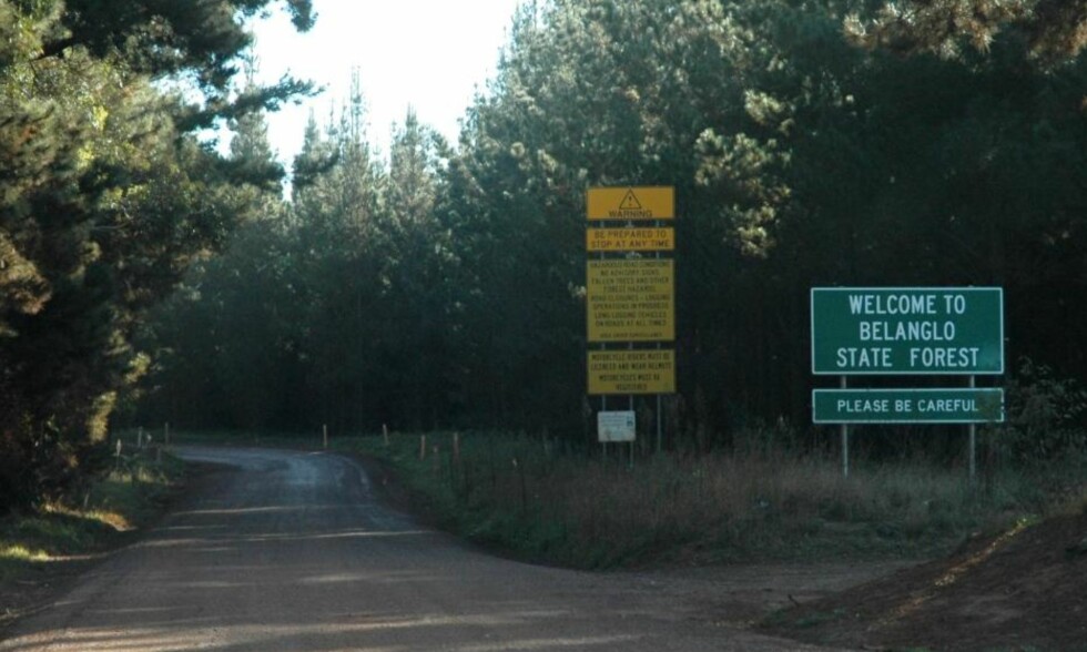 Beryktet skog: I løpet av de 25 siste årene har ni lik blitt funnet her inne. Foto: Ajayvius/Wikimedia Commons Beryktet skog: I løpet av de 25 siste årene har ni lik blitt funnet her inne. Foto: Ajayvius/Wikimedia Commons