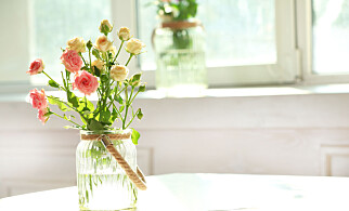 VARER LENGRE: Hell to spiseskjeer epleeddik og to spiseskjeer sukker i blomstervannet. Skift vann annenhver dag så har du friske blomster mye lenger. Foto: Africa Studio/ Shutterstock/ NTB scanpix VARER LENGRE: Hell to spiseskjeer epleeddik og to spiseskjeer sukker i blomstervannet. Skift vann annenhver dag så har du friske blomster mye lenger. Foto: Africa Studio/ Shutterstock/ NTB scanpix