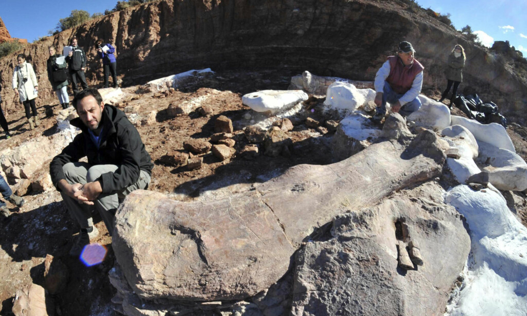 GIGANTISK: Paleontologene Jose Luis Carballido (t.v.) og Ruben Cuneo ved siden av knoklene fra kjempedinosauren som er funnet i Argentina. Foto: Reuters/NTB scanpix GIGANTISK: Paleontologene Jose Luis Carballido (t.v.) og Ruben Cuneo ved siden av knoklene fra kjempedinosauren som er funnet i Argentina. Foto: Reuters/NTB scanpix