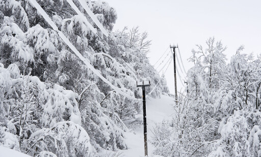 SNØ: To meter snø og vindstille i Holbygda fører til stort press på strømlinjer og trær.
Foto: Marit Hommedal / NTB scanpix SNØ: To meter snø og vindstille i Holbygda fører til stort press på strømlinjer og trær.
Foto: Marit Hommedal / NTB scanpix