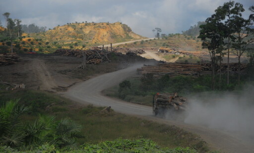 AVSKOGING: Palmeoljeplantasjene i Malaysia (bildet) og Indonesia utgjør en stor trussel mot regnskogen. Foto: Regnskogfondet AVSKOGING: Palmeoljeplantasjene i Malaysia (bildet) og Indonesia utgjør en stor trussel mot regnskogen. Foto: Regnskogfondet