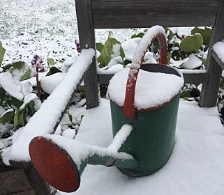 SNØ I HAGEN: Det var ikke bare bilen som ble dekket av snø. Også utemøblene og hageredskapene fikk gjennomgå. Foto: Kenneth Paulsson SNØ I HAGEN: Det var ikke bare bilen som ble dekket av snø. Også utemøblene og hageredskapene fikk gjennomgå. Foto: Kenneth Paulsson