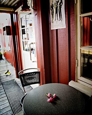 ROSE: Et par roser var lagt ned på et bord utenfor utestedet mandag formiddag. Foto: Bjørn Langsem / Dagbladet ROSE: Et par roser var lagt ned på et bord utenfor utestedet mandag formiddag. Foto: Bjørn Langsem / Dagbladet