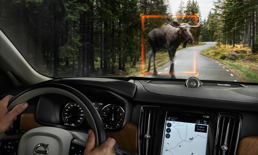 BREMSER FOR ELG: De beste nødbremssystemene, slik som hos Volvo, bremser ikke bare for bilen foran, men også for fotgjengere, syklister og store dyr. Foto: Volvo BREMSER FOR ELG: De beste nødbremssystemene, slik som hos Volvo, bremser ikke bare for bilen foran, men også for fotgjengere, syklister og store dyr. Foto: Volvo