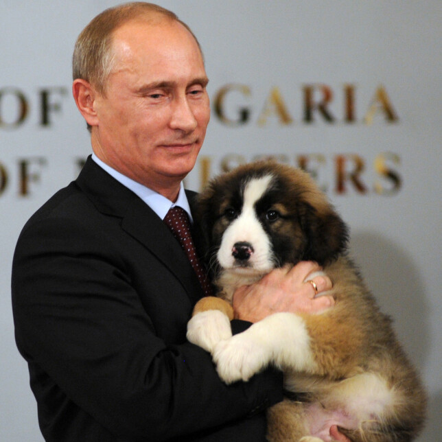 HUNDEVALP: Putin innleder sommeren med et bilde der han koser med hunden sin Buffy. Foto: AFP / NTB Scanpix HUNDEVALP: Putin innleder sommeren med et bilde der han koser med hunden sin Buffy. Foto: AFP / NTB Scanpix