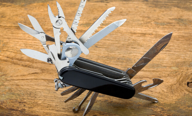 HJERNEN: Før var menneskets oppførsel forstått ut ifra at hver av hjernens områder hadde spesifikke funksjoner. Som en swiss army knife, løser hver del, hvert sitt problem. Foto: Shutterstock / NTB Scanpix HJERNEN: Før var menneskets oppførsel forstått ut ifra at hver av hjernens områder hadde spesifikke funksjoner. Som en swiss army knife, løser hver del, hvert sitt problem. Foto: Shutterstock / NTB Scanpix