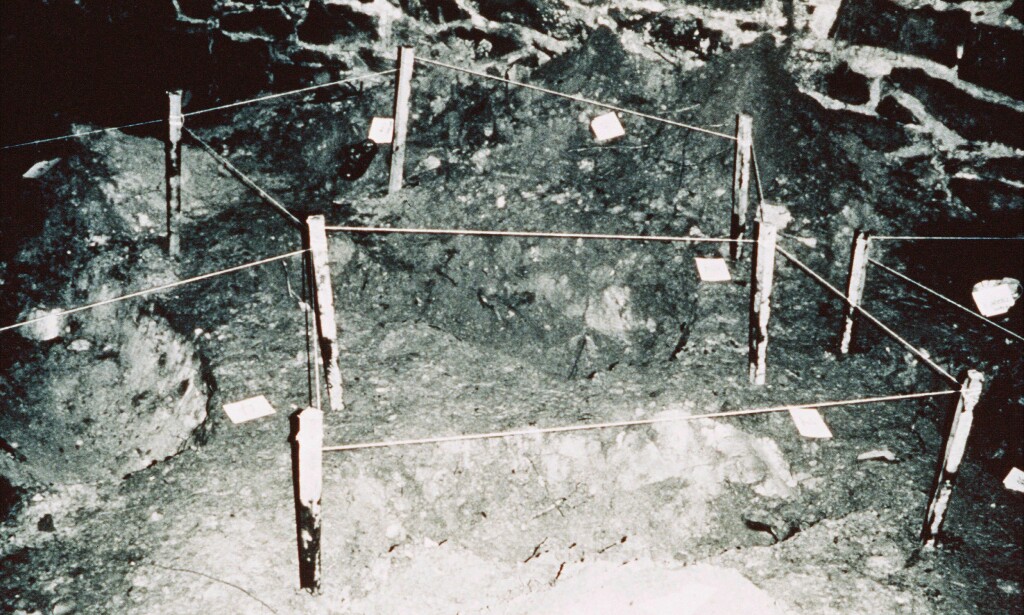 OVERRASKELSEEE: Skuespillerne improviserte seg gjenom store deler av «The Blair Witch Project», og visste sjelden hva som ventet dem i skogen. Foto: NTB Scanpix OVERRASKELSEEE: Skuespillerne improviserte seg gjenom store deler av «The Blair Witch Project», og visste sjelden hva som ventet dem i skogen. Foto: NTB Scanpix