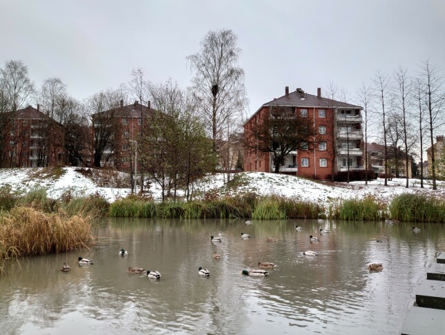 image: Kunne vært den nye kompaktkongen image: Kunne vært den nye kompaktkongen