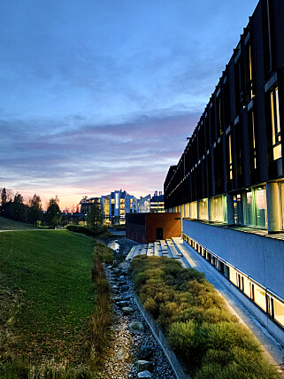 Elena Snellingen studerer her; ved Institutt for Informatikk på Universitetet i Oslo. 📸: Privat Elena Snellingen studerer her; ved Institutt for Informatikk på Universitetet i Oslo. 📸: Privat