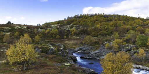 image: Bløffen om den rene naturen på Dovrefjell