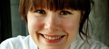 Kokke-Norge i sorg Kokke-Norge i sorg