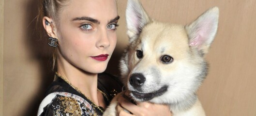 Kontroversielt halsbånd får dyreelskere til å rase mot Cara Delevingne Kontroversielt halsbånd får dyreelskere til å rase mot Cara Delevingne