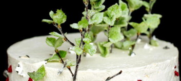 En saftig bløtkake fylt med masse krem og friske bær er en sikker vinner 17. mai En saftig bløtkake fylt med masse krem og friske bær er en sikker vinner 17. mai
