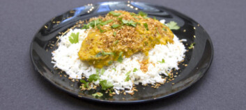 Middag fra glass: Med ristet kokos blir korma-sausen mye, mye bedre Middag fra glass: Med ristet kokos blir korma-sausen mye, mye bedre