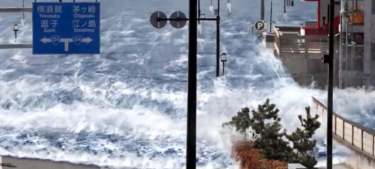 Skremmende animasjonsvideo: Slik kan en tsunami ramme byen i dag Skremmende animasjonsvideo: Slik kan en tsunami ramme byen i dag