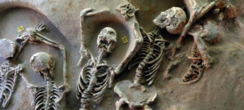 2600 år etter det mislykkede kuppforsøket kan arkeologer endelig ha funnet beviset 2600 år etter det mislykkede kuppforsøket kan arkeologer endelig ha funnet beviset