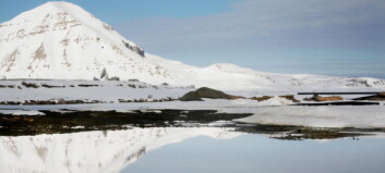 Forskere mener Svalbard var dekket av tropisk regnskog Forskere mener Svalbard var dekket av tropisk regnskog
