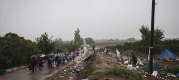 Flyktningrekord i Kroatia. Registrerte nesten 10 000 flyktninger og migranter lørdag Flyktningrekord i Kroatia. Registrerte nesten 10 000 flyktninger og migranter lørdag