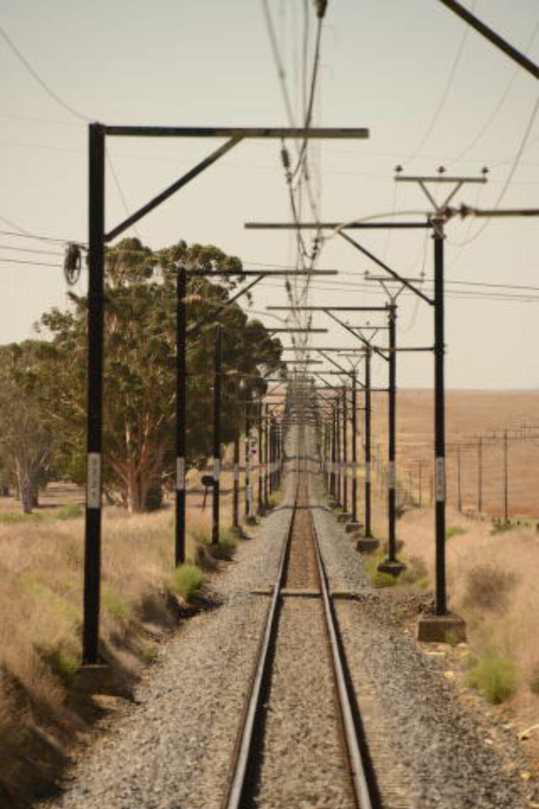 <strong>RETT FRAM:</strong> Skinnegangen strekker 1600 kilometer tvers gjennom Sør-Afrika fra Pretoria til Cape Town. Foto: RONNY FRIMANN <strong>RETT FRAM:</strong> Skinnegangen strekker 1600 kilometer tvers gjennom Sør-Afrika fra Pretoria til Cape Town. Foto: RONNY FRIMANN