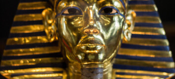 Da Tutankhamon mistet skjegget, gjorde de museumsansatte en stor feil Da Tutankhamon mistet skjegget, gjorde de museumsansatte en stor feil