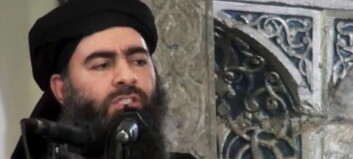 Al-Baghdadi skal ikke være blant de drepte Al-Baghdadi skal ikke være blant de drepte