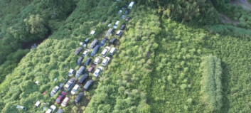 Naturen tar tilbake Fukushima Naturen tar tilbake Fukushima