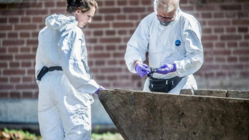 14. JUNI: Kriminalteknikere saumfarte låven der den tiltalte jobbet med restaurering av låvetaket. Foto: Thomas Rasmus Skaug / Dagbladet 14. JUNI: Kriminalteknikere saumfarte låven der den tiltalte jobbet med restaurering av låvetaket. Foto: Thomas Rasmus Skaug / Dagbladet