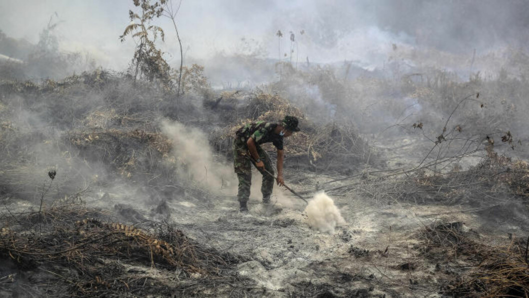 STORE MENGDER BRANNER: Det store antallet branner i Indonesia har ført til dårlig luftkvalitet i store områder av det tett befolkede landet. Her jobber en indonesisk soldat med slokningsarbeid i august 2015. Foto: YT Haryono/Polaris STORE MENGDER BRANNER: Det store antallet branner i Indonesia har ført til dårlig luftkvalitet i store områder av det tett befolkede landet. Her jobber en indonesisk soldat med slokningsarbeid i august 2015. Foto: YT Haryono/Polaris