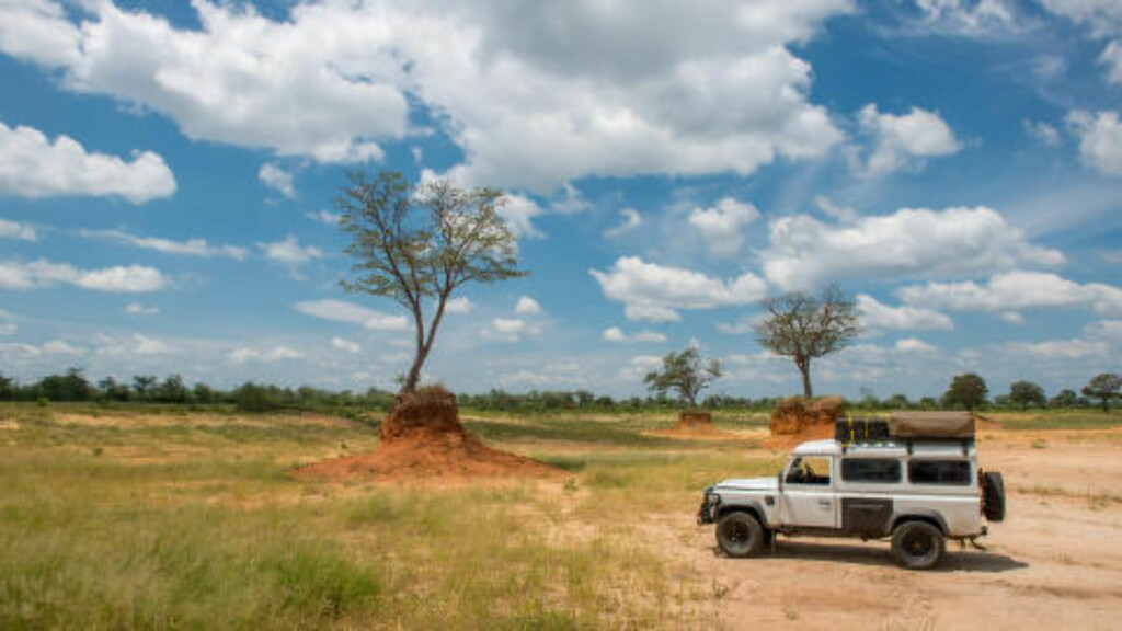 JUBILEUM:
Botswana feirer 50 års uavhengighet i 2016 og har utviklet seg til å bli et av Afrikas mest stabile land, skriver Lonely Planet. Foto: EDWIN REMSBERG / ZUMA PRESS / NTB SCANPIX JUBILEUM:
Botswana feirer 50 års uavhengighet i 2016 og har utviklet seg til å bli et av Afrikas mest stabile land, skriver Lonely Planet. Foto: EDWIN REMSBERG / ZUMA PRESS / NTB SCANPIX