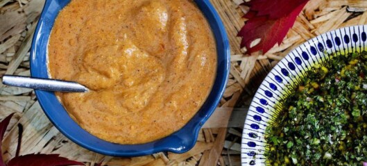 Du trenger ikke koke kraft i mange timer for å lage en god saus Du trenger ikke koke kraft i mange timer for å lage en god saus