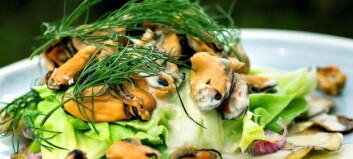 Herlig norsk vri på franskmennenes «moules frites» Herlig norsk vri på franskmennenes «moules frites»