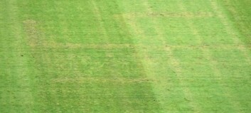 Kroatias statsminister trygler UEFA om mild hakekors-straff Kroatias statsminister trygler UEFA om mild hakekors-straff