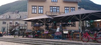 - Vi er på sporet, og vi vet hva vi leter etter - Vi er på sporet, og vi vet hva vi leter etter