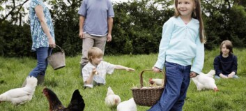 Hvis flere i nær familie har hjertesykdom, bør varselbjellene ringe Hvis flere i nær familie har hjertesykdom, bør varselbjellene ringe