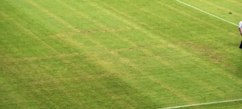 Kroatias landslagssjef visste om hakekorset på banen Kroatias landslagssjef visste om hakekorset på banen