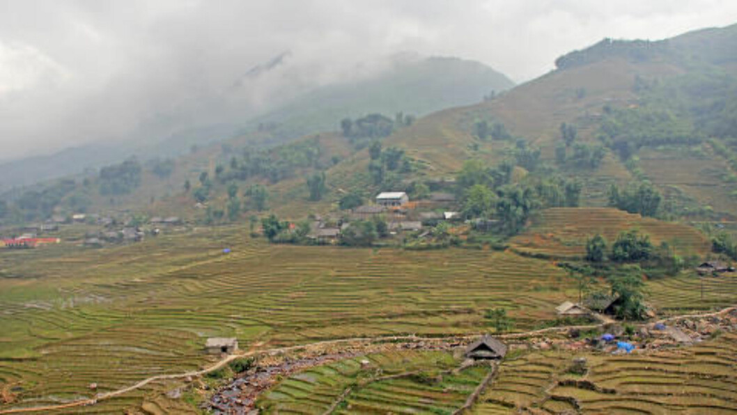 SAPA: Sapa er interessant både som kulturelt og aktivt reisemål, og det er fotturister som virkelig har satt fjellbyen på kartet. Foto: KJERSTI VANGERUD SAPA: Sapa er interessant både som kulturelt og aktivt reisemål, og det er fotturister som virkelig har satt fjellbyen på kartet. Foto: KJERSTI VANGERUD