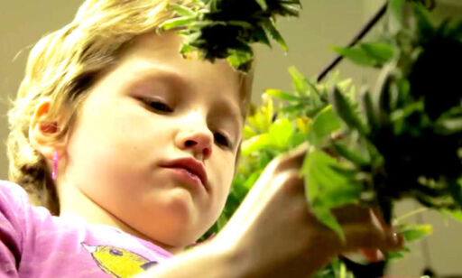 image: Barn som får medisinsk cannabis
