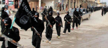 IS har kidnappet 20 helsearbeidere IS har kidnappet 20 helsearbeidere