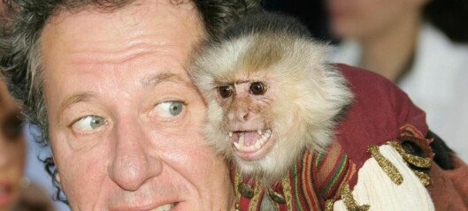 Kvinne sendt på sykehus etter at «Pirates of the Caribbean»-ape gikk bananas Kvinne sendt på sykehus etter at «Pirates of the Caribbean»-ape gikk bananas