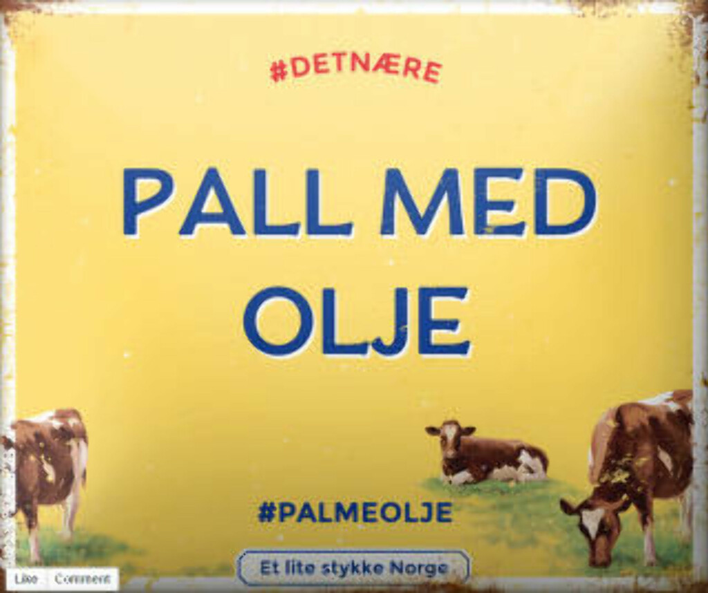 image: Regel nummer én når du dummer deg ut i sosiale medier: Ikke legg skylda på nettfolket image: Regel nummer én når du dummer deg ut i sosiale medier: Ikke legg skylda på nettfolket